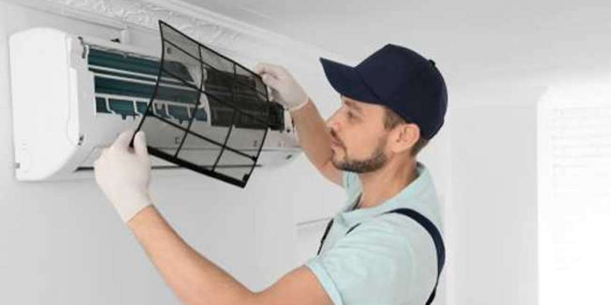 Efficient Practices On Mould Removal