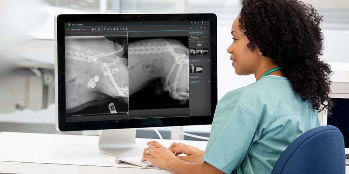 Veterinary Imaging Market to Grow by a CAGR of ~11% During 2023 – 2033
