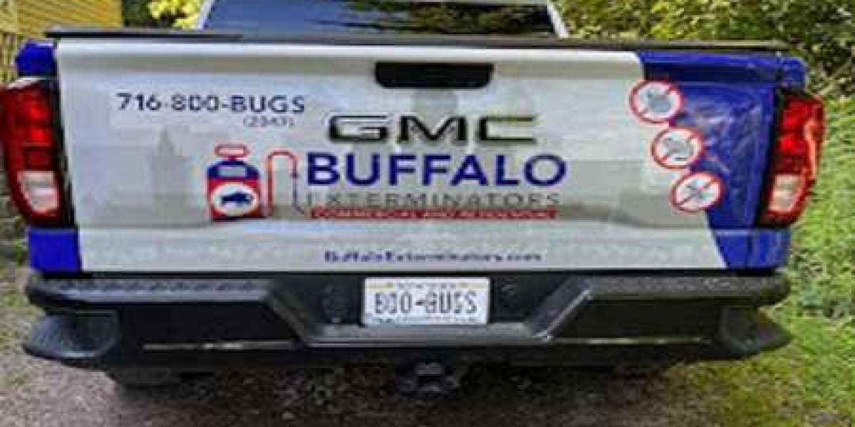 Pest Control For Wasps in Buffalo NY