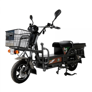 Top Electric Two Wheeler Suppliers - Digiryd