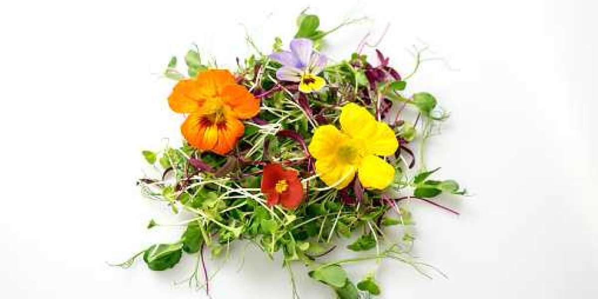 Edible Flowers Market Size, Top Competitors, Growth Rates by Regional Investment 2030