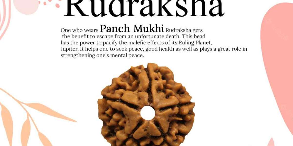Buy  5 Mukhi Rudraksha Online price in india