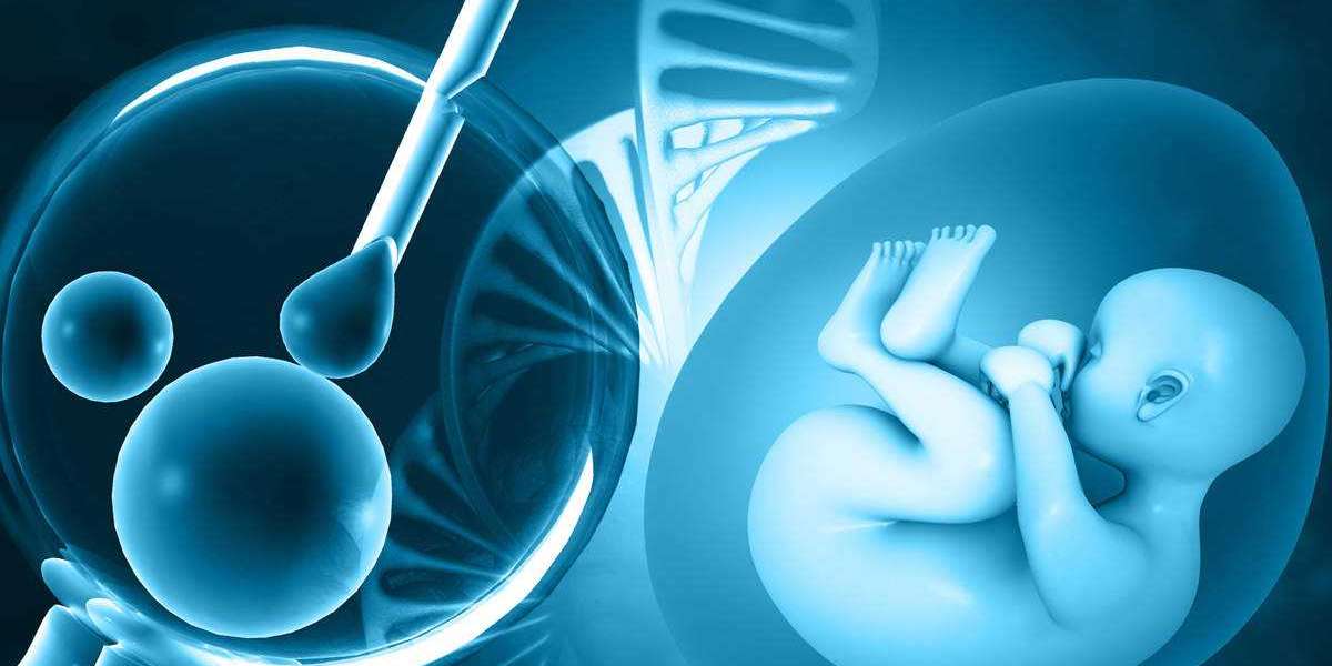 In Vitro Fertilization Services Market Manufacturers, Research Methodology and Business Opportunities by 2030