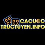 cacuoctructuyeninfo Profile Picture