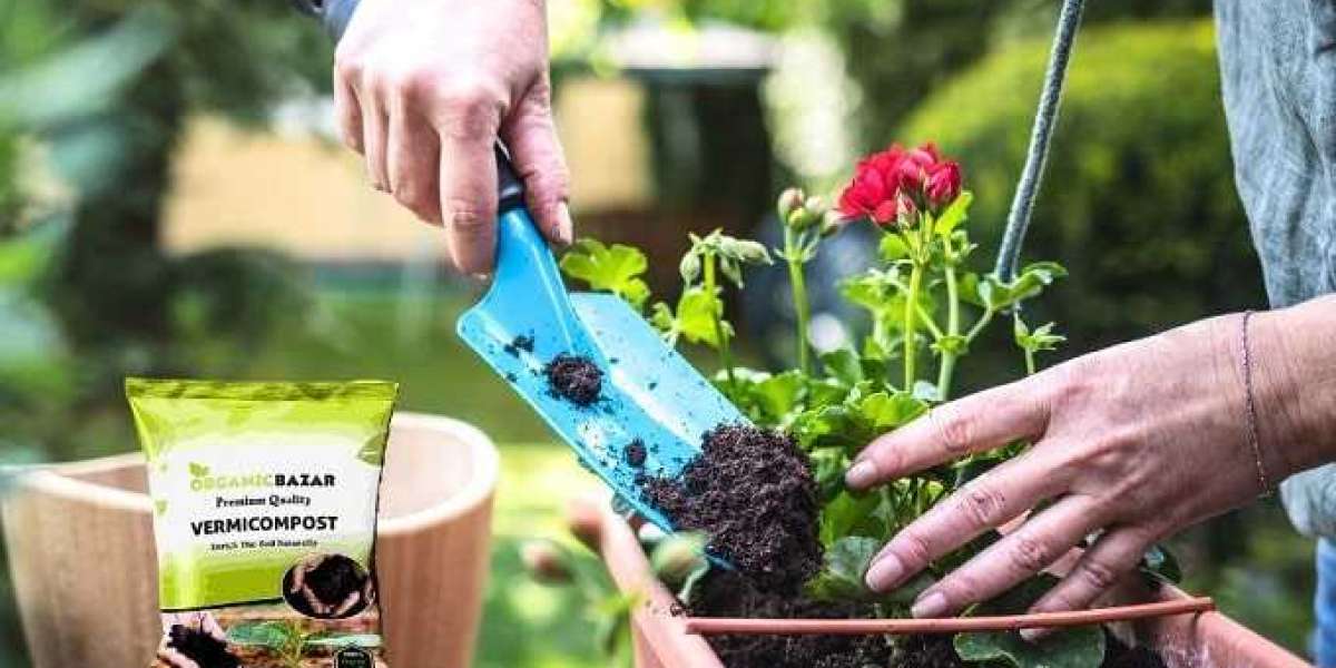 The Perfect Pairing: Using Vermicompost with a Water Pump for Sustainable Gardening