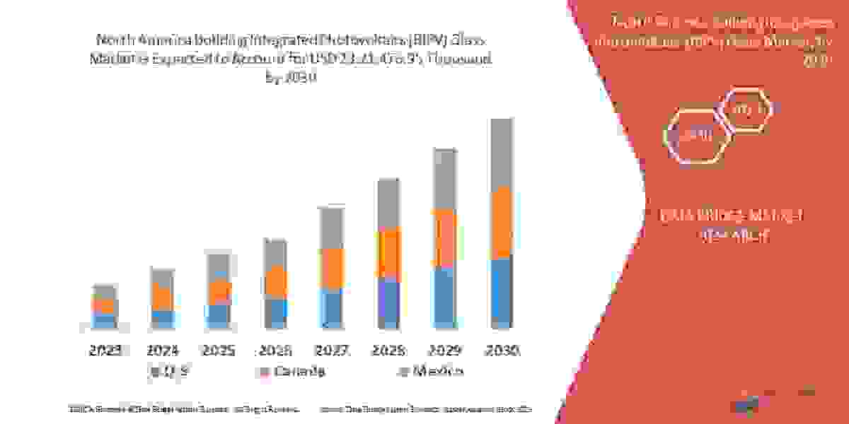 North America Building Integrated Photovoltaics (BIPV) Glass Market, Segmentation, Insight, Scope, & Insight by 2030