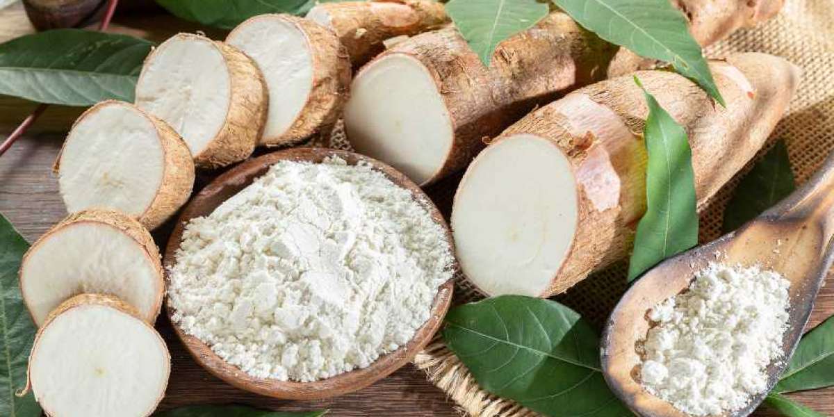 Nigeria Modified Starch Market Trends, Share, Industry Size, Growth, Demand, Opportunities and Forecast By 2030