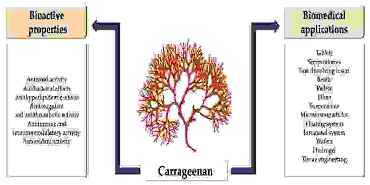 Carrageenans as a Versatile Tool in Drug Delivery