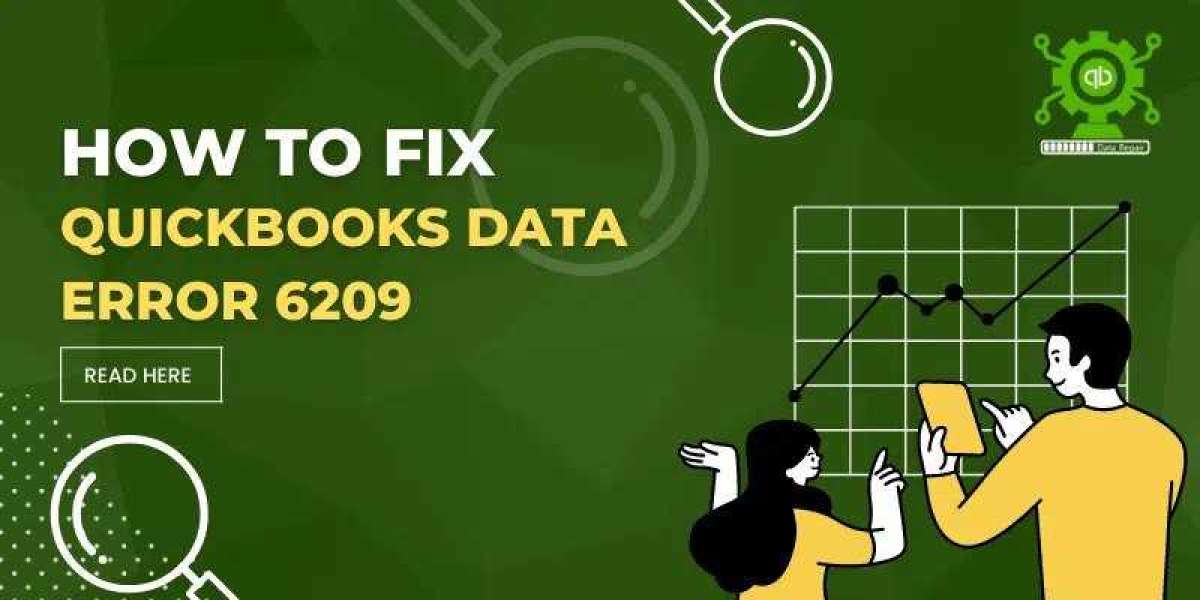 How to Resolve QuickBooks Error 6209?