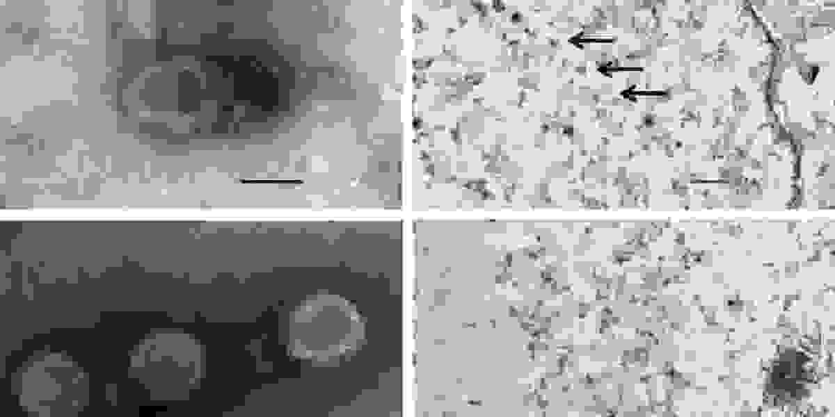 Study on Partial Glycoprotein of Feline Herpesvirus Type 1