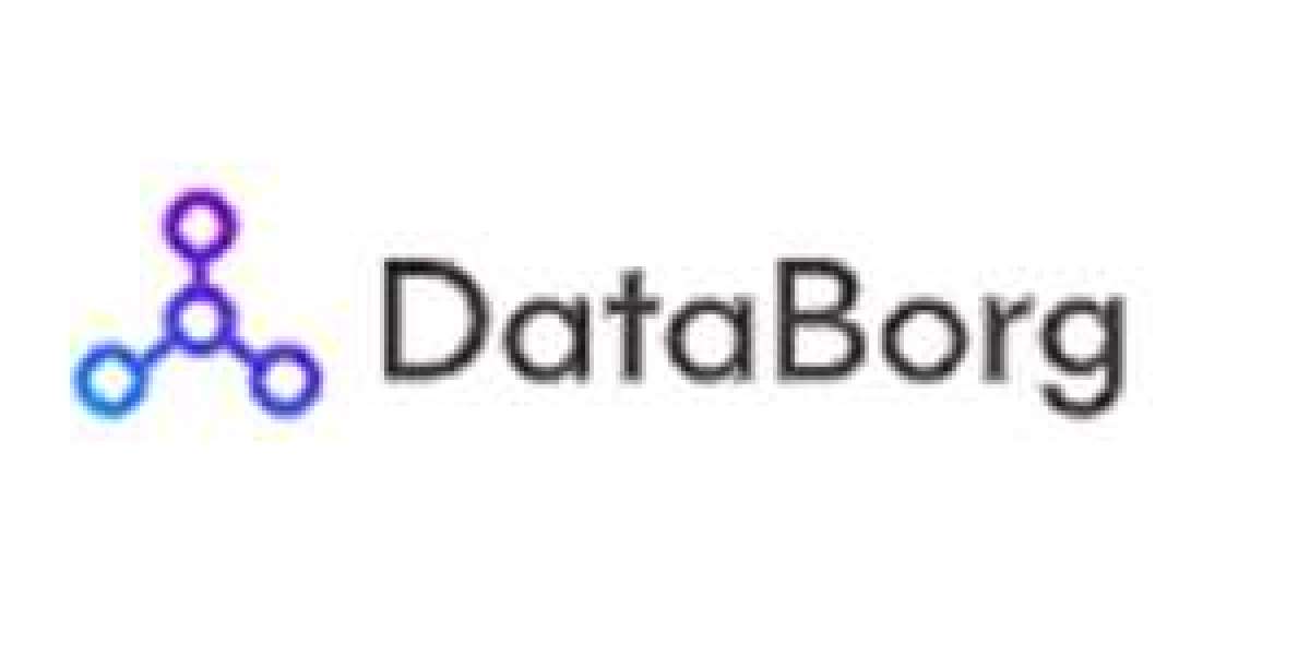 Databorg-an innovative Way of Data Management