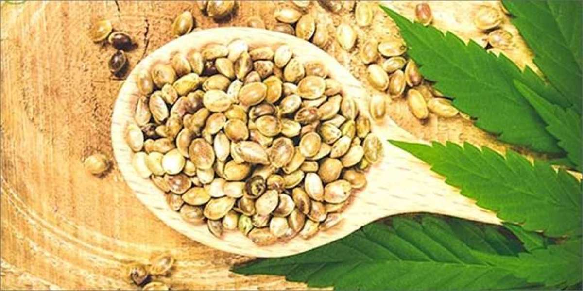 The Benefits of Raw Cannabis Seeds