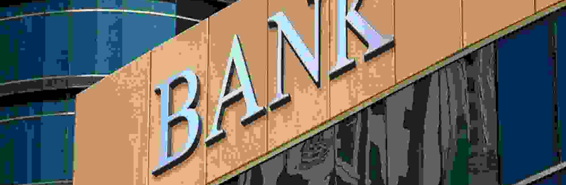 Bank Novelties Cover Image