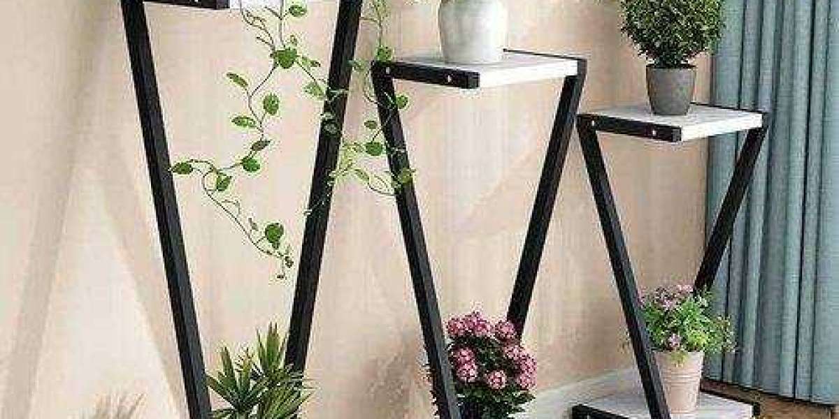 The Perfect Duo for Indoor Gardening: Watering Can and Planter Stand