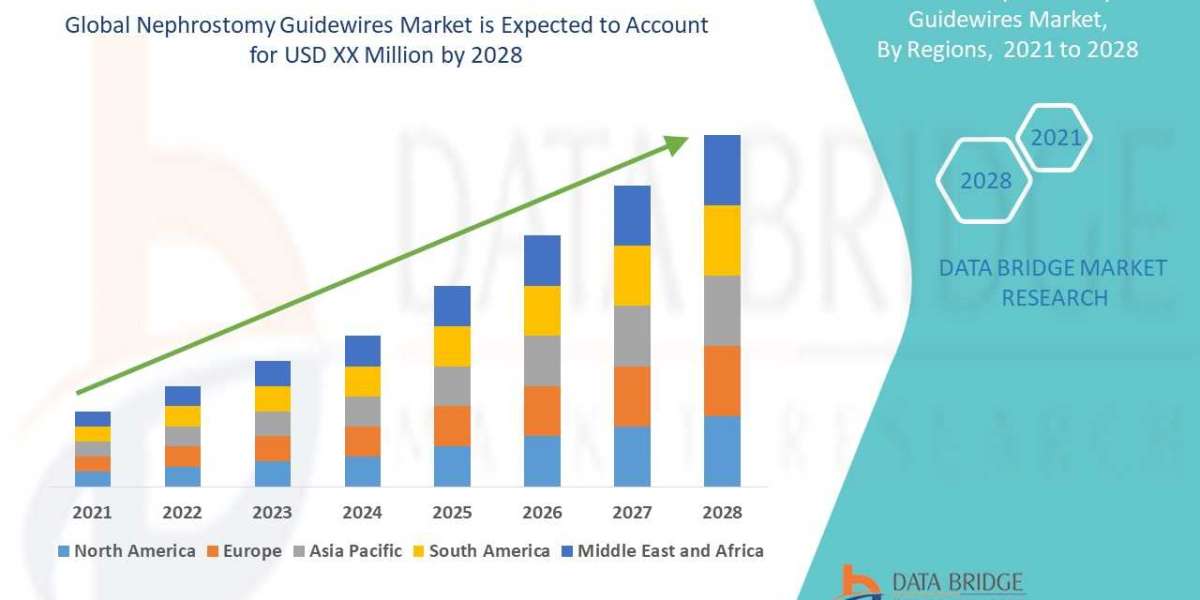 Nephrostomy Guidewires Industry Size, Growth, Demand, Opportunities and Forecast By 2028