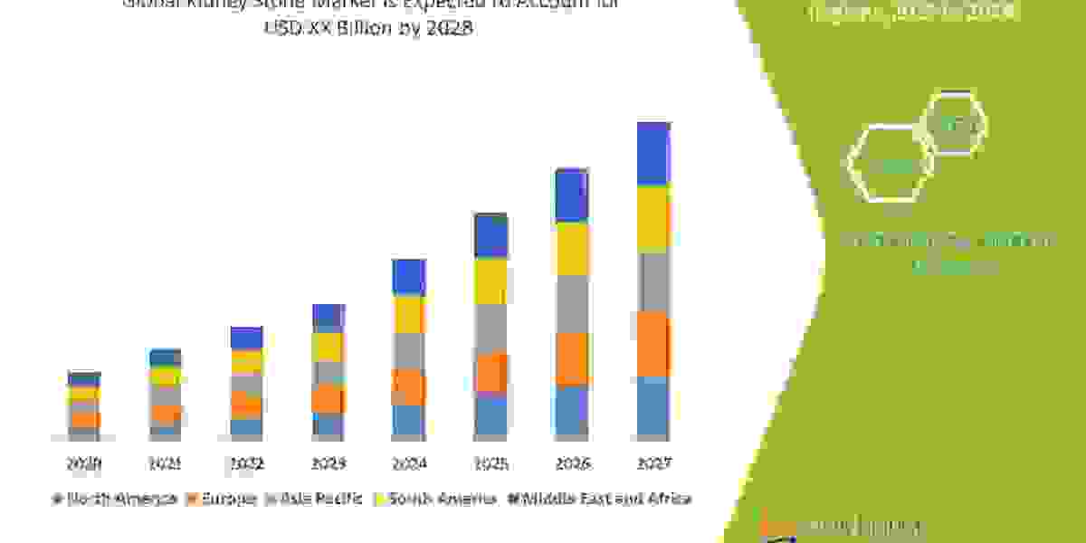 Kidney Stone Overview, Growth Analysis, Share, Opportunities, Trends and Global Forecast By 2028