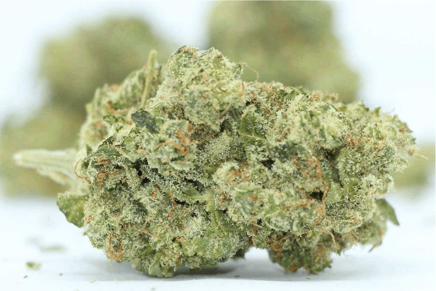 Gelato Weed in Thailand: Coming Soon to Our Dispensary