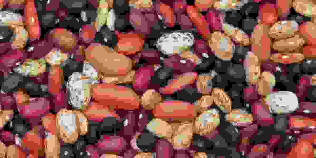 Dry Beans Market to Reach US$ 8.7 Billion by 2028
