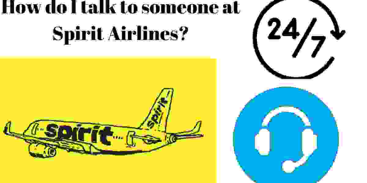 How can I get in touch with Spirit Airlines?