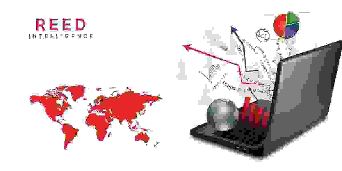 Milk Shake Powder Market Competitiveness: Strategies for Sustainable Market Positioning