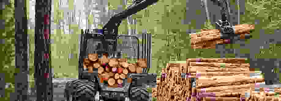 BW Timber Harvesting Cover Image