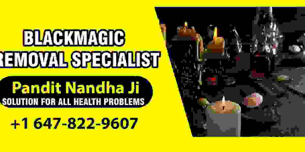 Indian astrologer in Brampton