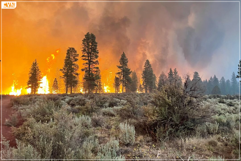 Yellowstone Issues Wildfire Warning