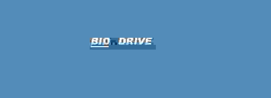 Bidn drive Cover Image