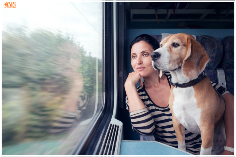 Ultimate Guide: Pet-Friendly Travel on Indian Railways