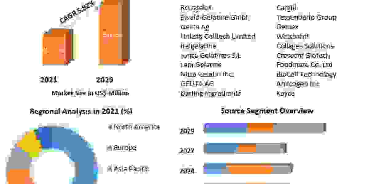 Collagen Peptide Market: Key Players and Competitive Landscape 2029