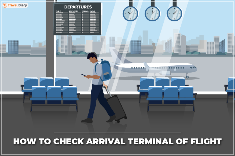 A Guide on How to Check Arrival Terminal of Flight