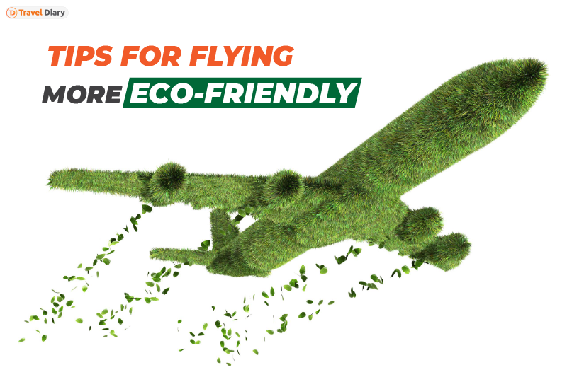 Crafting Your Air Travel Eco-Friendly : Elevate Your Journey