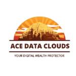 AceData Solutions Profile Picture