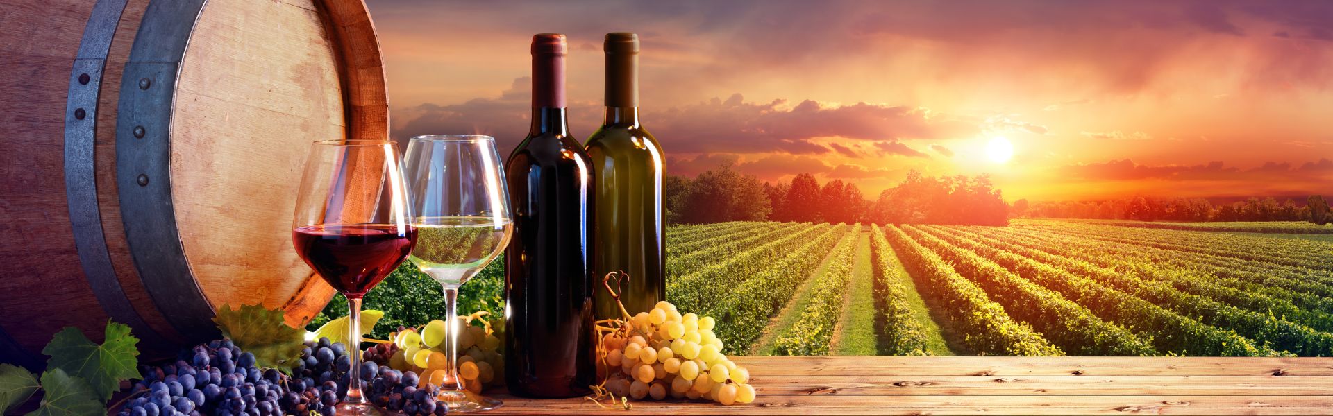 San Francisco Wine Tours - Discover the Flavors of Bay Area