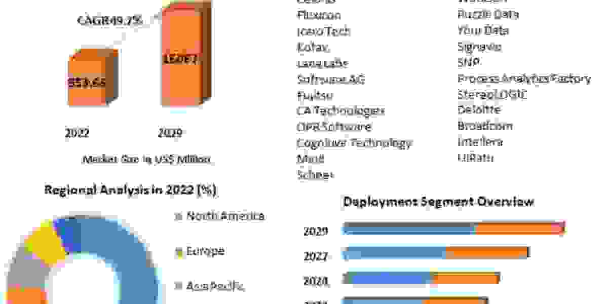 Process Analytics Market Size to Expand Significantly by the End of 2029