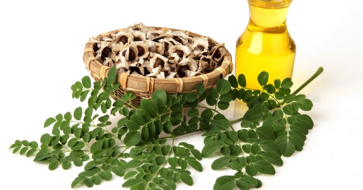 Moringa Oil for Healthy Skin and Hair - Healthy Life Human 360