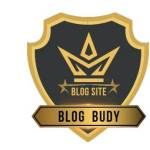 Blogbudy blogbudy Profile Picture