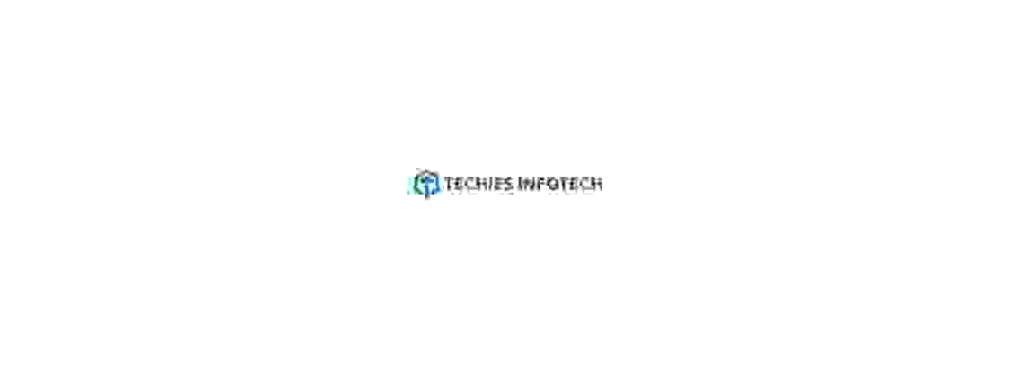 Techies Infotech Cover Image