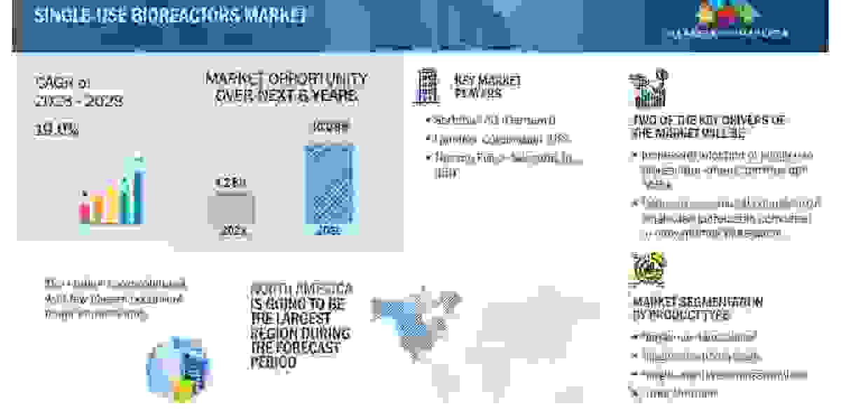 Thriving Growth Prospects: Single-Use Bioreactors Market Forecasted to Achieve USD 10.0 Billion by 2028, Powered by 19.0