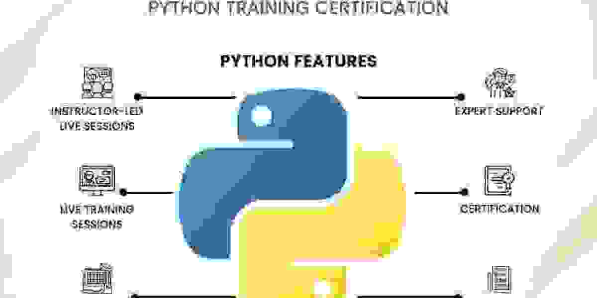 The Quest for Excellence: Unveiling the Best Python Certifications