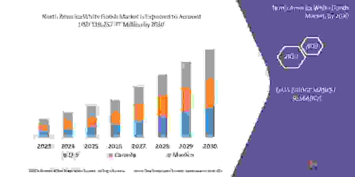 North America White Goods Market Business ideas and Strategies forecast 2030