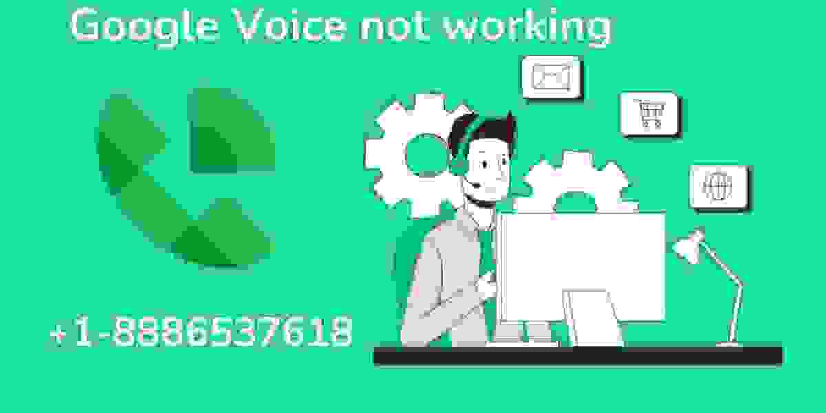 Google Voice not Working