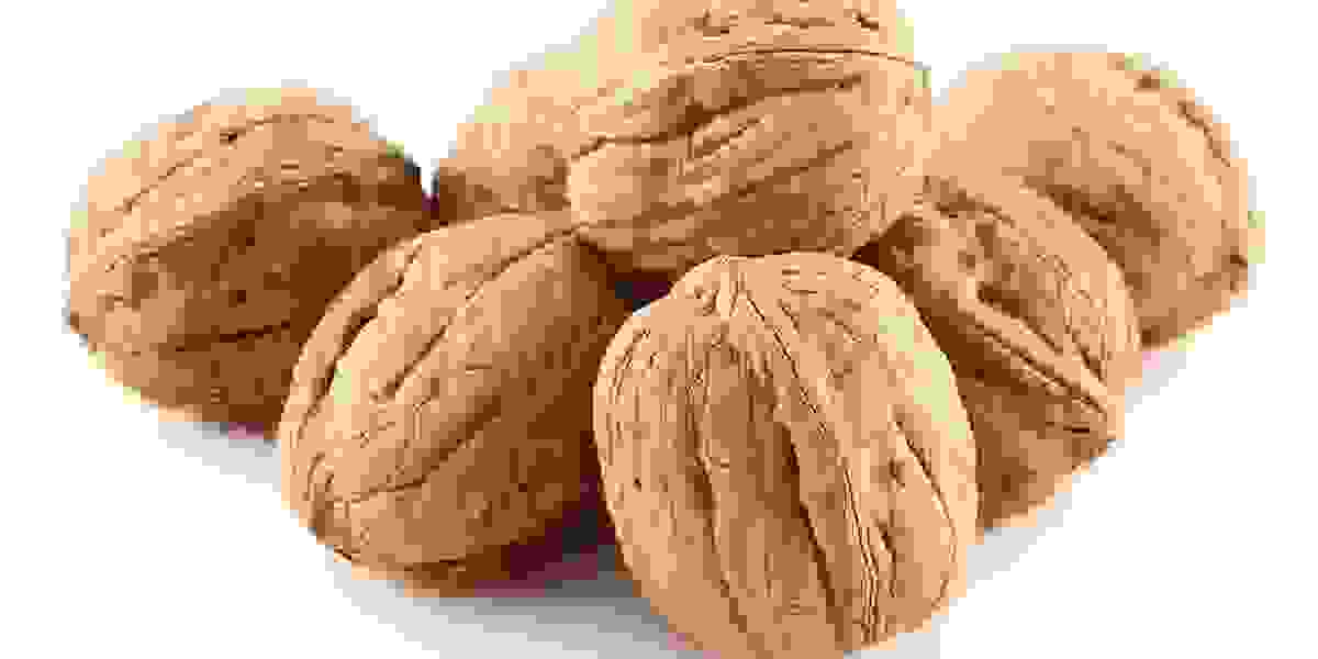 GCC Walnut Market Size, Share, Growth & Report Analysis 2023-2028