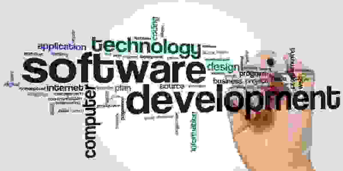 Best Software Development Company in Delhi NCR