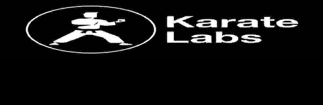 Karate Labs Cover Image