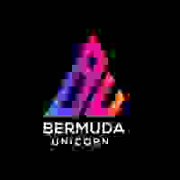 bermuda unicorn Profile Picture