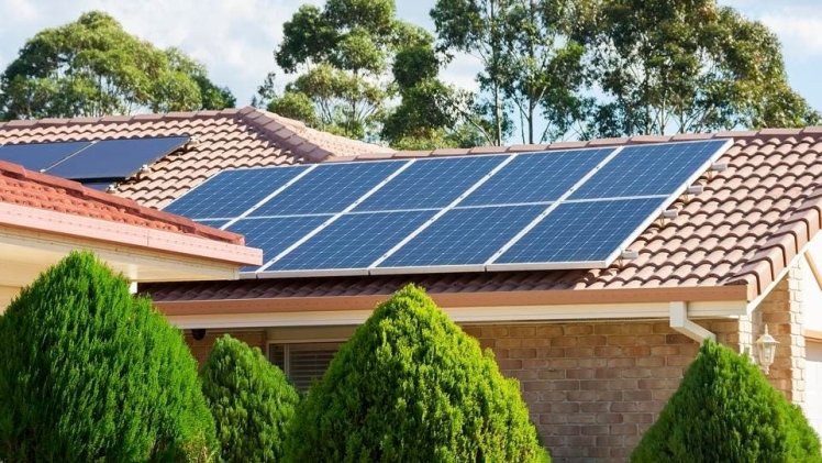 Exploring Different Types of Solar Panels that Are Best for Home Use - Odisha Discom