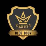 blogbudy sameer Profile Picture