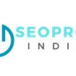 SEO Pros India Profile Picture