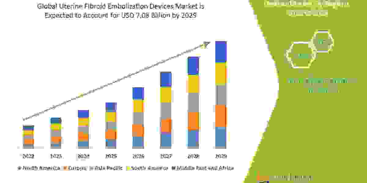 Uterine Fibroid Embolization Devices Market Research Report:  Growth, Trends and Forecast By 2029